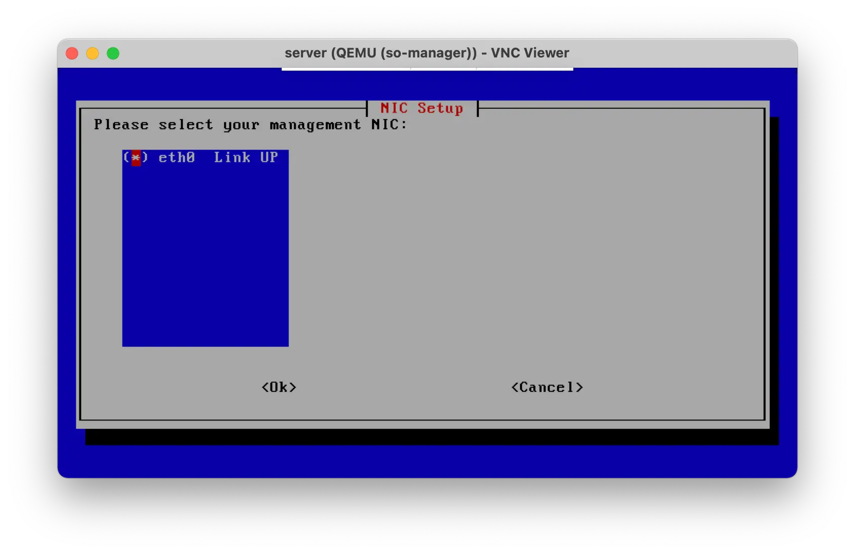 so-manager-setup-6-choose-nic.webp