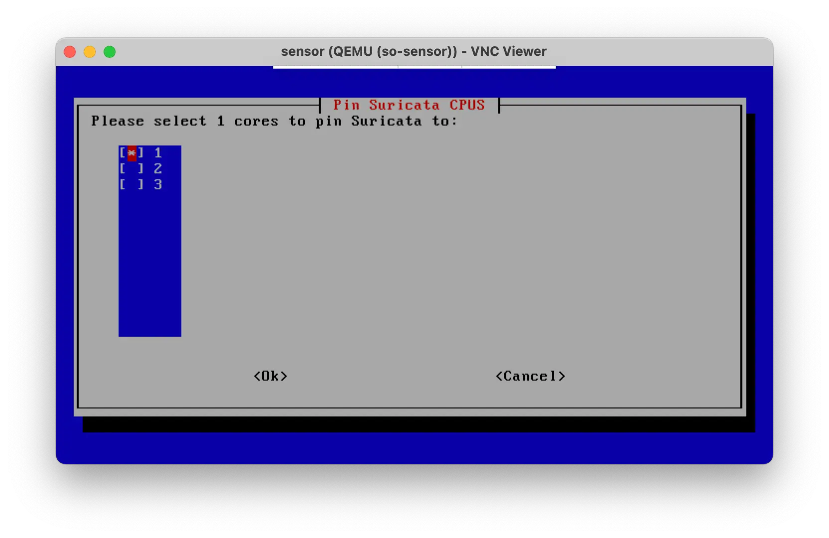 so-sensor-setup-10-bind-cpu-surucata.webp